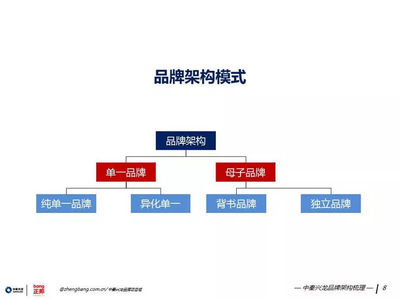 策世品牌观 七日微光，照亮品牌管理之路