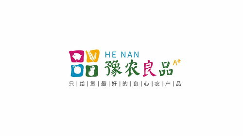 豫农良品 河南农产品联合品牌方案中的品牌管理实践