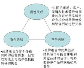 品牌视觉升级 高质量的摄像及制作服务在品牌管理中的核心角色